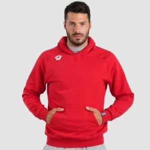 TEAM HOODED SWEAT PANEL