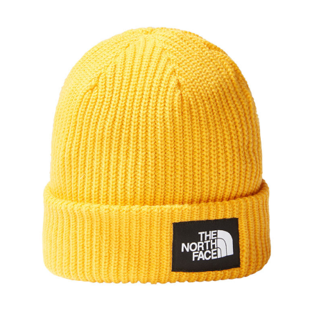 SALTY LINED BEANIE SUMMIT